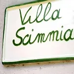 Scimmia Scauri (Lazio)