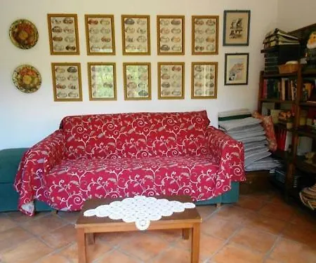 Scimmia * Scauri (Lazio)