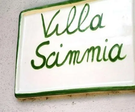 Scimmia Scauri (Lazio)