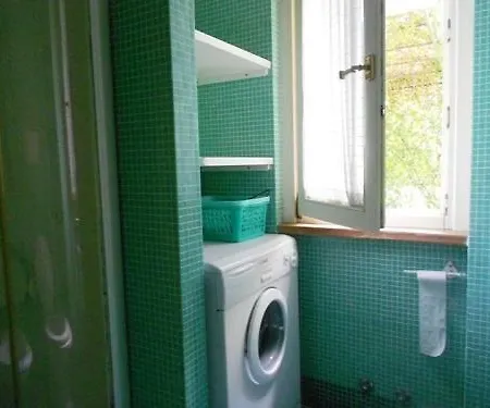 Scimmia Scauri (Lazio)