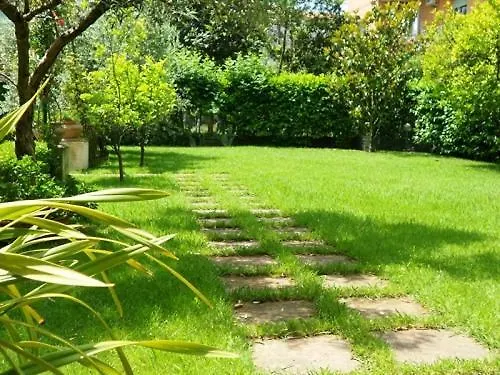 Scimmia * Scauri (Lazio)