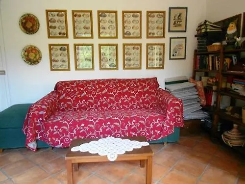 Scimmia * Scauri (Lazio)